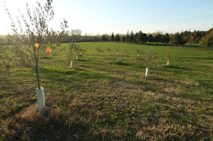 agriturismo-fondazza